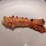 蒼 - さかな人長谷川さんより 長井の赤座海老 