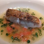 蒼 - 愛媛八幡浜より神経締め 白甘鯛 本日の仕立て