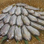 湖国料理　やまじん - 