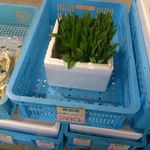 八紘学園 農産物直売所 - 【2013年05月】行者にんにく、また買っちゃった♪