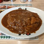 日乃屋カレー - カツ大盛り