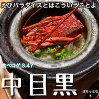 眞か SHINKA - 
