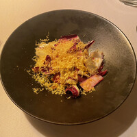 タケル クインディチ(LOQUAT) 西伊豆 - 