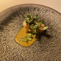 タケル クインディチ(LOQUAT) 西伊豆 - 