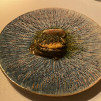 タケル クインディチ(LOQUAT) 西伊豆 - 