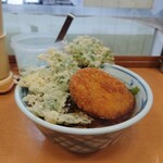 加賀 - 茶色と緑が美しい。