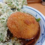 加賀 - ミルキーな風味の逸品。