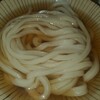 Udon Kyutaro