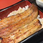 Unagi Kanda Miujinshita Kigawa - 