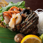 Live turban shell sashimi (large) (from Awaji Island/Tokushima)