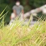 和食日和 おさけと - 