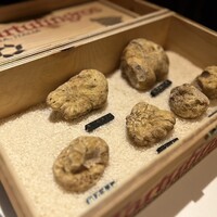 マルゴット エ バッチャーレ - 