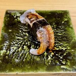 鮨処 池上 - 追加：アオリイカの下足 炙り