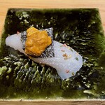 鮨処 池上 - アオリイカと長崎平戸の地雲丹