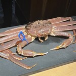 鮨処 池上 - 島根隠岐の松葉蟹