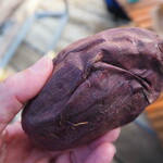 TEGA POND cafe stand - 焼き芋