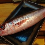 居食屋 わいるどふぁーむ  - グルクン