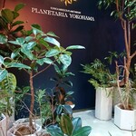 Cafe Planetaria - 