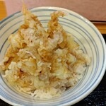 194511121 - ミニゲソ天丼　ボリュームは満足。