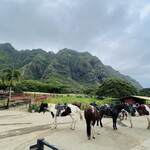 クアロア・ランチ・ハワイ カフェテリア - 