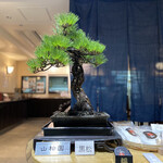 はやし家製麺所 高松空港店 - 