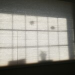 キッチン ブルー グローブ - ブラインドを閉めてくれる