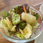 キッチン ブルー グローブ - サラダのアップ