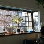 キッチン ブルー グローブ - 反対側の窓