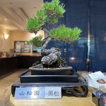 はやし家製麺所 高松空港店 - 