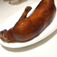 家寶 跳龍門 -  家寶 跳龍門 -