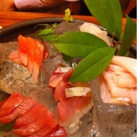 銀平 北新地店 - 