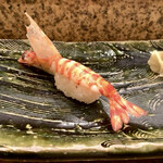 にぎり鮨 一五〇 - 【限定】車海老（¥150）（税別）