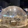 Pagina THE ROOF - 