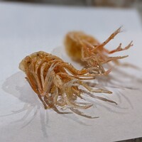 天ぷら浅沼 - 