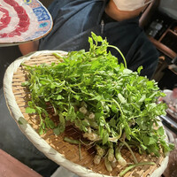 たでの葉 - 