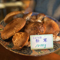 たでの葉 - 
