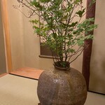 銀座 鮨 かねさか 本店 - 