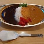 カレーの店 SPICE - エッグ入りポーク&ビーフカレー