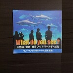 Washokuan - （参考）大きなサメが「シロワニ」です