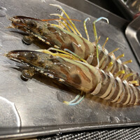 ニュー松坂 難波御堂筋店 - 