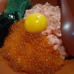 黒潮金剛 どろめ - 