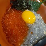 黒潮金剛 どろめ - 