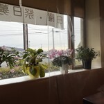 萬蔵そば尾張屋 - 窓には花鉢