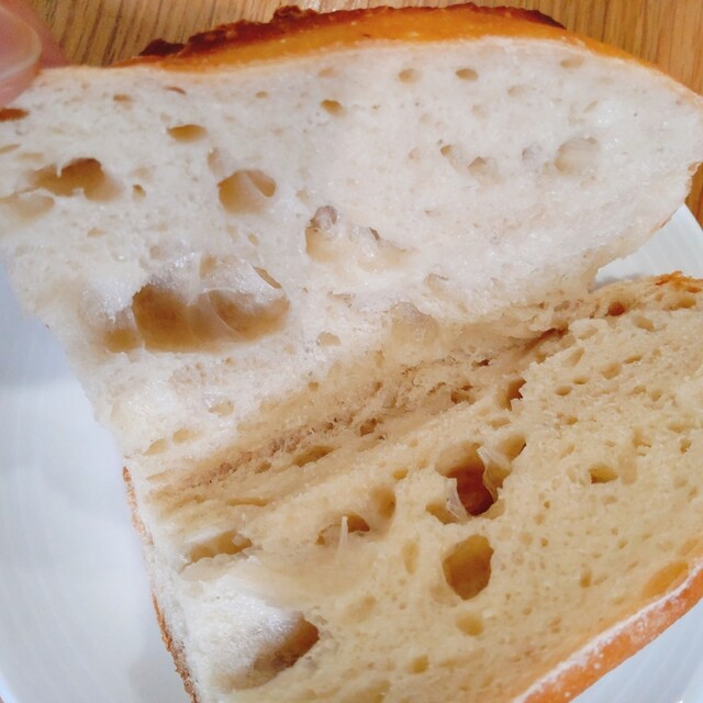 Pan Kuma Nigo Ten photo 2