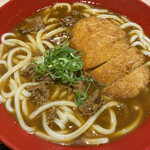 Tokutoku - だし割りかつカレーうどん