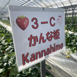 姫路ハートフル観光農園 - 