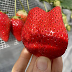 姫路ハートフル観光農園 - 