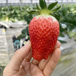 姫路ハートフル観光農園 - 