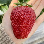 姫路ハートフル観光農園 - 