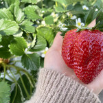 姫路ハートフル観光農園 - 